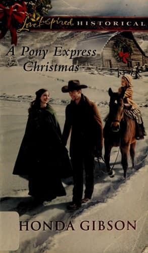 Portada de A Pony Express Christmas