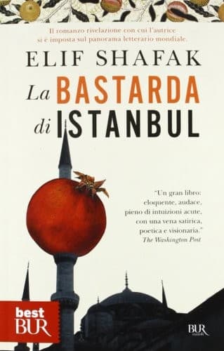 Portada de La bastarda de Estambul