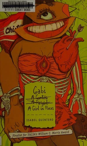 Portada de Gabi, a girl in pieces