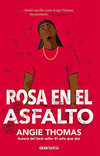 Portada de Rosa en el asfalto