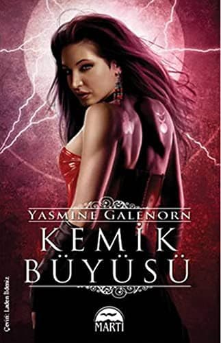 Portada de Kemik Buyusu - Ayin Kardesleri Serisi 7.Kitap