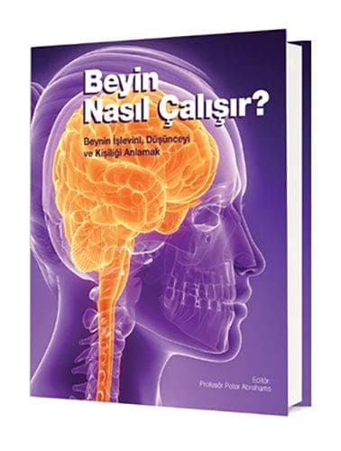 Portada de Beyin Nasil Calisir?; Beynin Islevini, Düsünceyi ve Kisiligi Anlamak