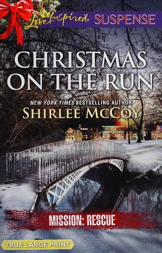 Portada de Christmas on the run