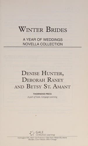 Portada de Winter Brides