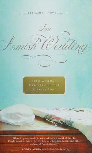 Portada de An Amish wedding