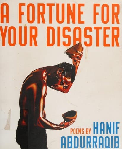 Portada de A Fortune For Your Disaster
