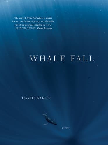 Portada de Whale Fall