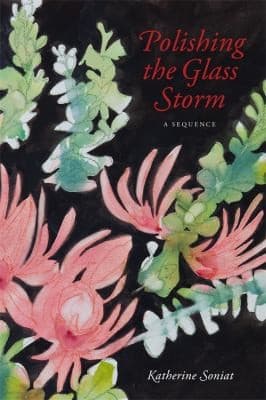 Portada de Polishing the Glass Storm