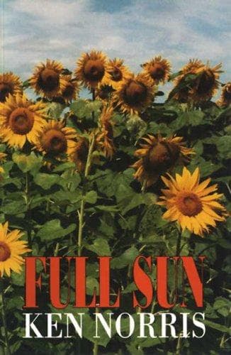 Portada de Full sun