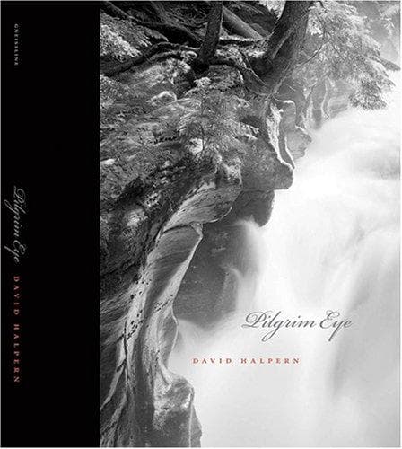 Portada de Pilgrim Eye