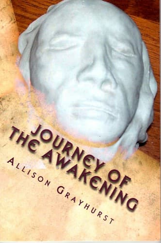 Portada de Journey of the Awakening