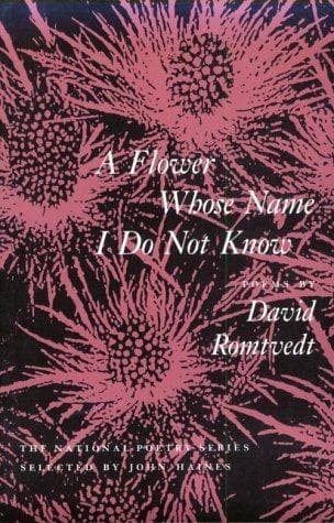 Portada de A flower whose name I do not know