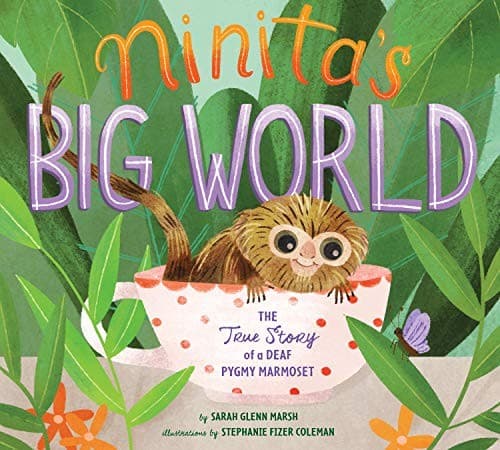 Portada de Ninita's Big World