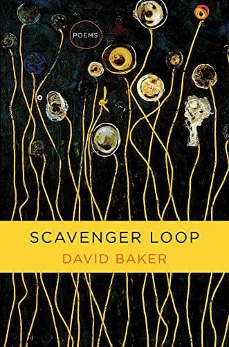 Portada de Scavenger Loop